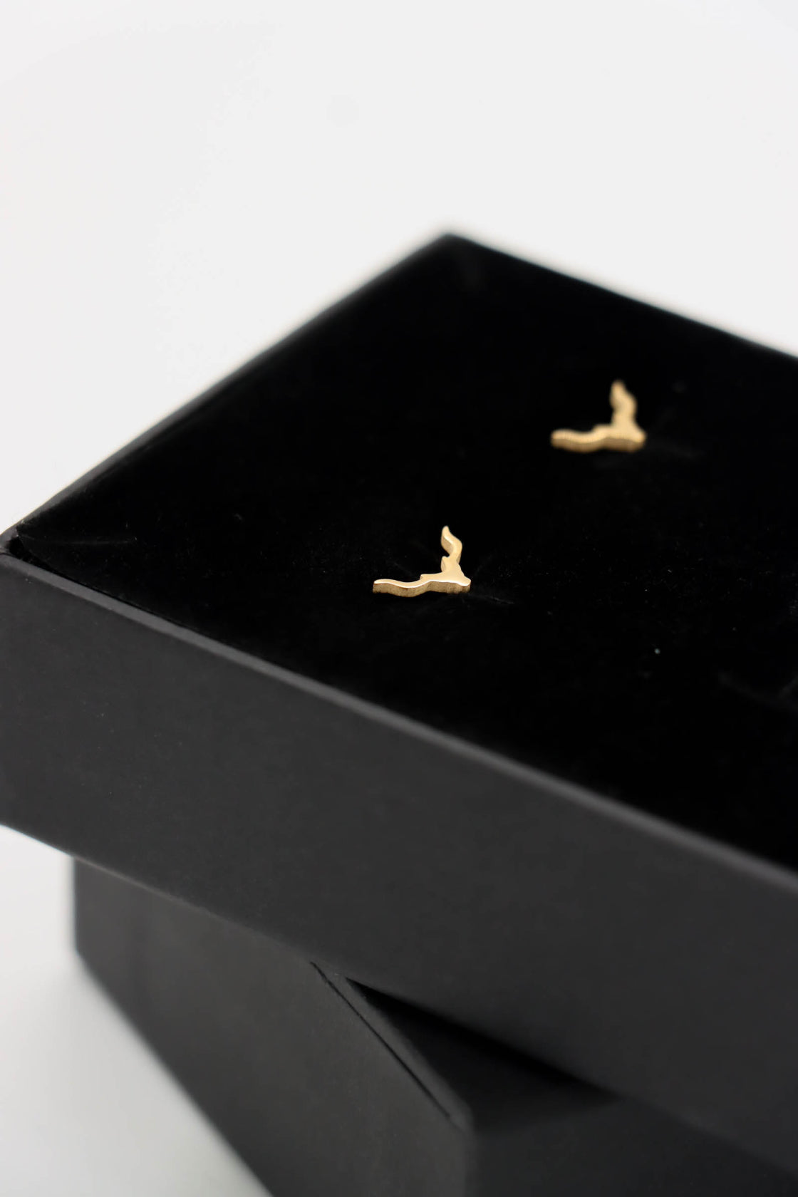 Gold Ox Studs | Limited Edition