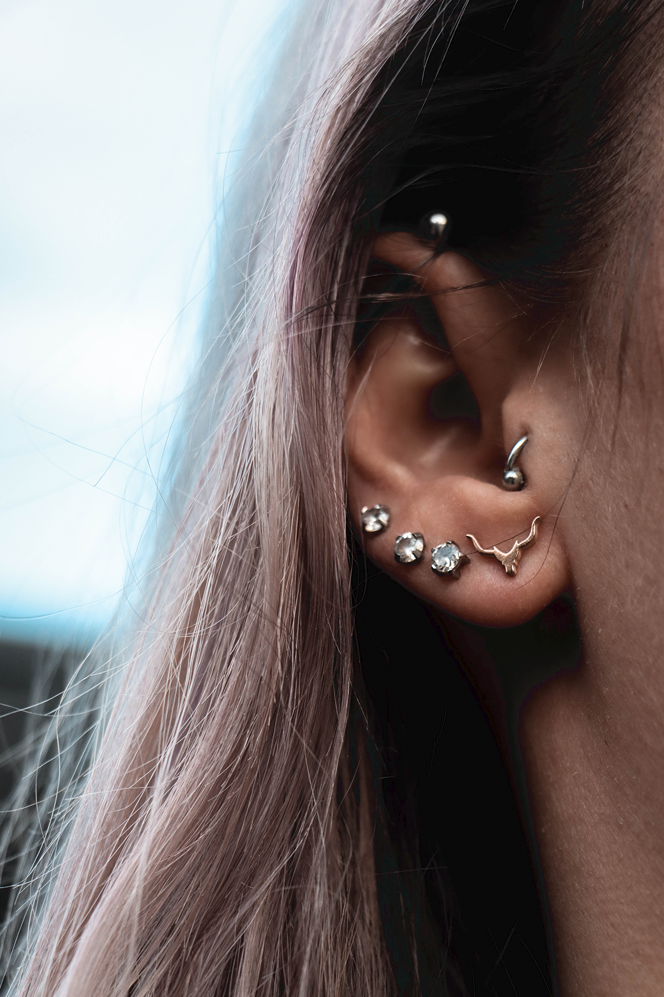 Rose Gold Ox Studs | Limited Edition - Unisex